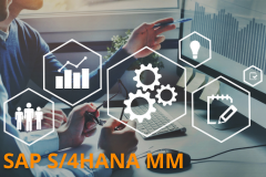 SAP S/4HANA - Materials Management Overview Processes